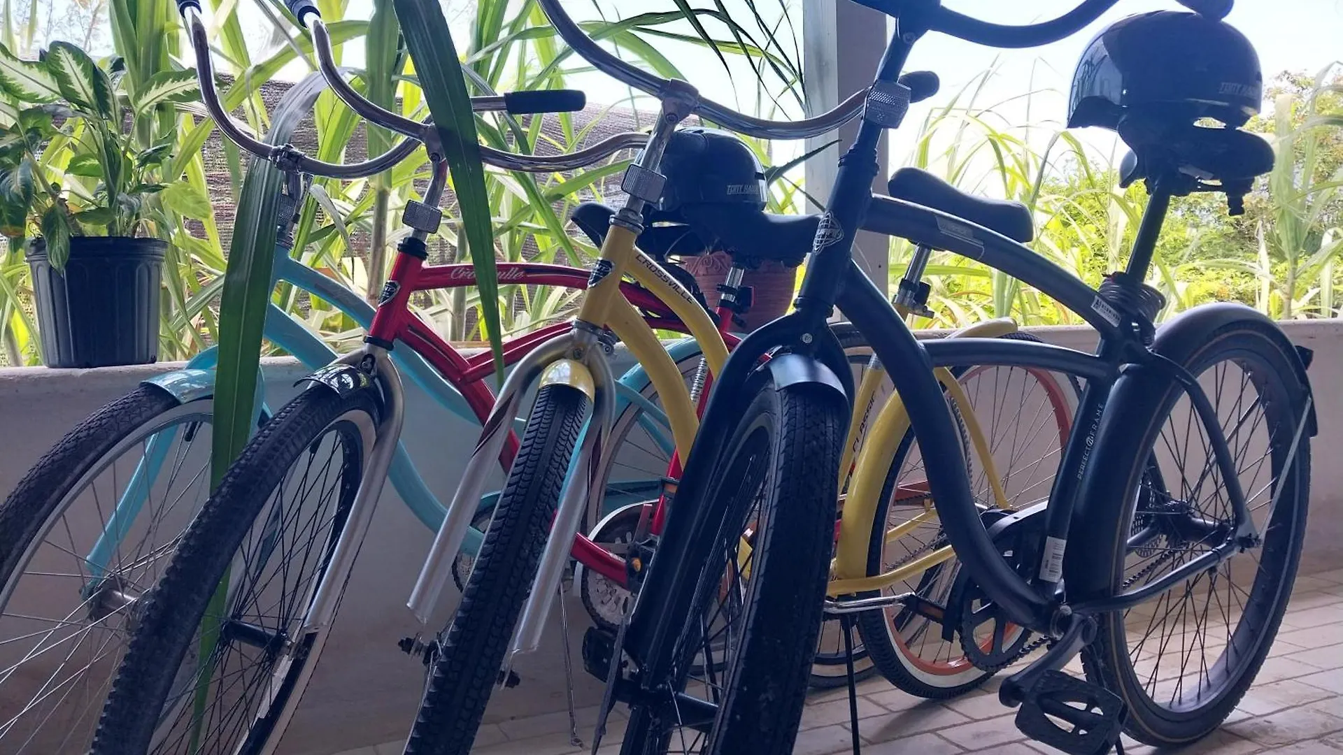 펜션 Private Guest House 2 Bedrooms & 2 Baths Near Grace Bay Beach & Long Bay Beach.